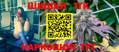 тгк Новодвинск