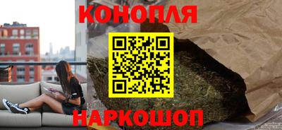 тгк Новодвинск