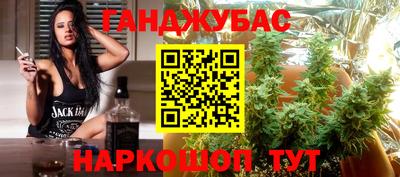 тгк Новодвинск