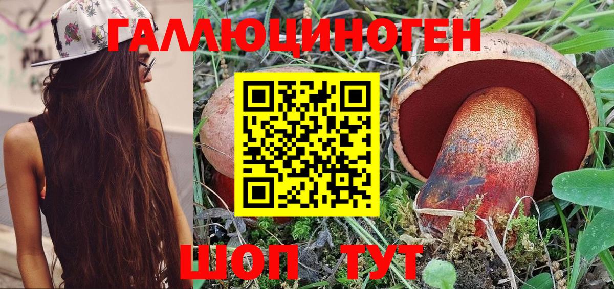 Псилоцибиновые грибы MAGIC MUSHROOMS  Вход с VPN  Галлюциногенные грибы Psilocybe  Соль-Илецк 